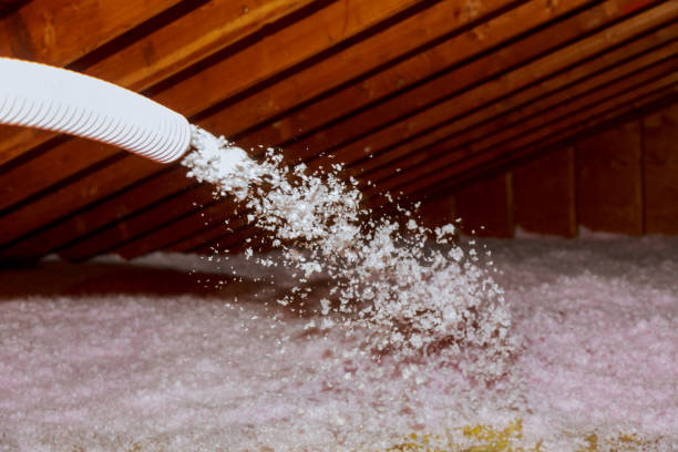 Best Residential Insulation in Los Alamitos, CA