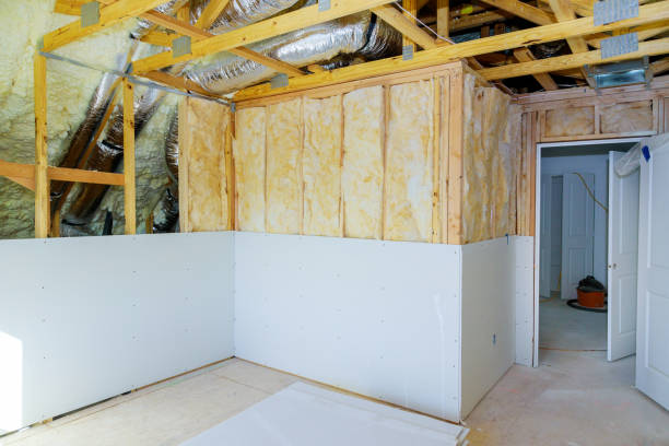 Best Eco-Friendly Insulation in Los Alamitos, CA