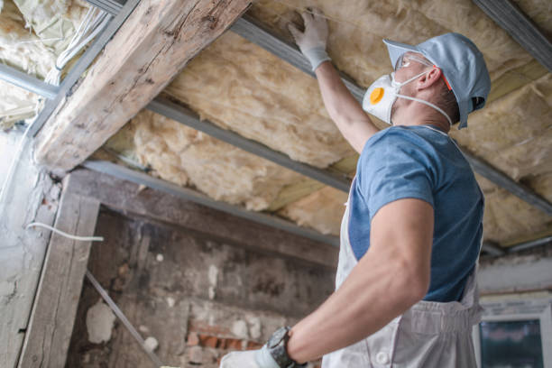 Best Energy Efficiency Insulation in Los Alamitos, CA
