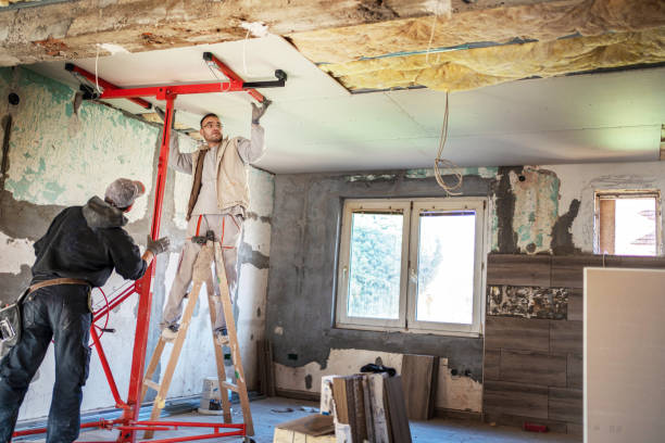 Best Geographic-Specific Insulation Services in Los Alamitos, CA