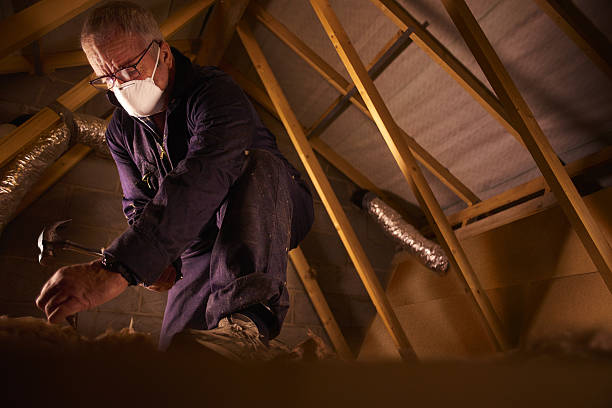 Best Fiberglass Insulation in Los Alamitos, CA